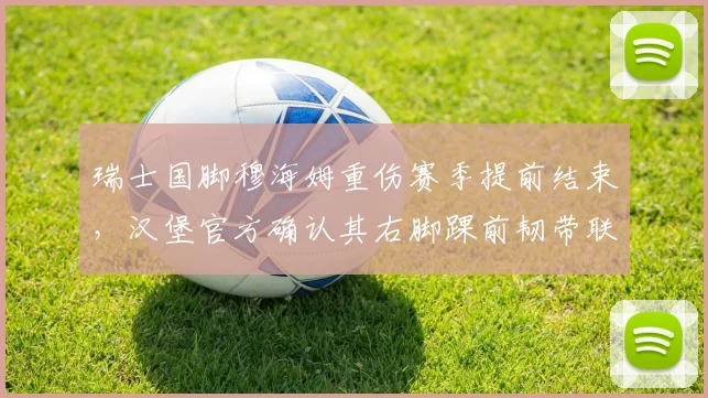 瑞士国脚穆海姆重伤赛季提前结束,汉堡官方确认其右脚踝前韧带联合撕裂,详解伤病影响与康复时间