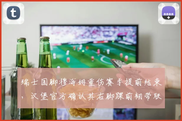 瑞士国脚穆海姆重伤赛季提前结束，汉堡官方确认其右脚踝前韧带联合撕裂，详解伤病影响与康复时间